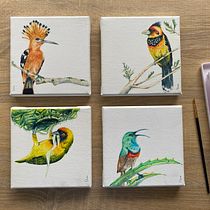 My project for course: Artistic Watercolor Techniques for Illustrating Birds. Traditional illustration, Watercolor Painting, Realistic Drawing, and Naturalistic Illustration project by Estée Jacobs - 12.13.2022