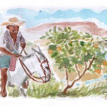 Meu projeto do curso: Ilustração em aquarela com influência japonesa. Traditional illustration, Drawing, and Watercolor Painting project by salsadepino_1 - 12.14.2022