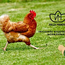 Mi proyecto del curso: Copywriting: principios de la redacción publicitaria . Advertising, Marketing, Cop, writing, Creativit, and Content Writing project by Ricardo José Ferrer Chavez - 12.12.2022