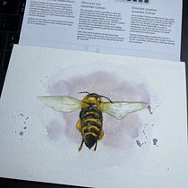 My project for course: Illustrating the Natural World with Watercolor and Charcoal. Traditional illustration, Painting, and Naturalistic Illustration project by Ivan Fuenmayor - 12.07.2022