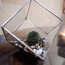 Terrón de mi tierra . Interior Design, L, scape Architecture, Decoration, DIY, Floral, and Plant Design project by Joshue Fernandez Oseguera - 12.13.2022