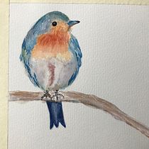 My project for course: Artistic Watercolor Techniques for Illustrating Birds. Traditional illustration, Watercolor Painting, Realistic Drawing, and Naturalistic Illustration project by Rose Doucet - 12.16.2022