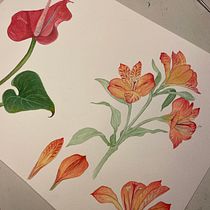 Meu projeto do curso: Aquarela botânica: ilustre a anatomia das flores. Un progetto di Illustrazione tradizionale, Belle arti, Pittura, Disegno, Pittura ad acquerello e Illustrazione botanica di jardimdouniverso - 17.12.2022