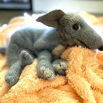 My project for course: Knitting Realistic Stuffed Animals: Make a Puppy from Yarn. Fiber Arts, DIY, Knitting, and Textile Design project by cathandkarl - 12.14.2022