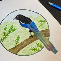 Elster - Aquarellmalerei mit Metallic-Akzenten. Traditional illustration, Painting, Watercolor Painting, Botanical Illustration, Naturalistic Illustration, and Decorative Painting project by info - 12.18.2022