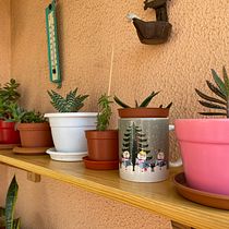 Mi proyecto del curso: Diseño de interiores con plantas desde cero. Interior Design, L, scape Architecture, Decoration, Interior Decoration, DIY, Floral, Plant Design, and Spatial Design project by Angels Castell - 12.18.2022