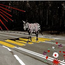 Mein Abschlussprojekt für den Kurs: Einführung in das Besticken von Fotos: Bilder mit Textur. Photograph, Paper Craft, Embroider, DIY, and Textile Design project by chillodogmomo - 12.18.2022