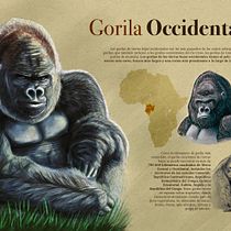 Mi proyecto del curso: Ilustración naturalista de animales con Procreate. Un proyecto de Ilustración tradicional, Ilustración digital, Dibujo realista e Ilustración naturalista				 de Germán David Alvarez Grajales - 18.01.2022