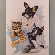 Aïda Pets Ein Projekt aus dem Bereich Aquarellmalerei, Traditionelle Illustration, Bildende Künste und Naturalistische Illustration von Daniel - 15.12.2022