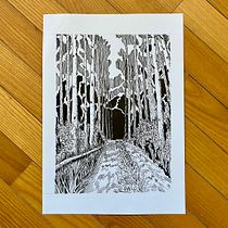My project for course: Dip Pen and Ink Illustration: Capturing The Natural World. Sketching, Drawing, Artistic Drawing, Sketchbook, Ink Illustration, and Naturalistic Illustration project by Hanna Shvaikova - 12.20.2022