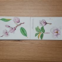 My project for course: Botanical Watercolor Sketchbook. Projekt z dziedziny Trad, c, jna ilustracja, Malowanie akwarelą, R, sunek botaniczn i Sketchbook użytkownika marrtinezgml - 18.12.2022