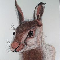 Meu projeto do curso: Técnicas experimentais de aquarela para principiantes Ein Projekt aus dem Bereich Traditionelle Illustration, Bildende Künste, Aquarellmalerei und Naturalistische Illustration von Anna Lyvia Brenneisen - 21.12.2022