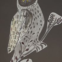 Mi proyecto del curso: Ilustración de animales con carboncillo y tinta. Drawing, Ink Illustration, and Naturalistic Illustration project by Verónica Giovannini - 12.22.2022