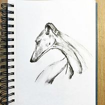 Mi proyecto del curso: Ilustración de animales con carboncillo y tinta. Drawing, Ink Illustration, and Naturalistic Illustration project by Laura Poletti - 12.24.2022