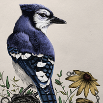 Il mio progetto del corso: Illustrazione naturalistica a penna. Traditional illustration, Drawing, Realistic Drawing, and Naturalistic Illustration project by Marianna Silingardi - 12.24.2022