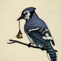 My project for course: Naturalist Illustration with Ballpoint Pen . Traditional illustration, Drawing, Realistic Drawing, and Naturalistic Illustration project by alexcalzoni - 12.24.2022