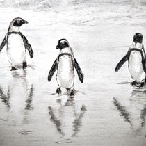 My project for course: Animal Illustration with Charcoal and Ink. Drawing, Ink Illustration, and Naturalistic Illustration project by Kina Joubert - 12.24.2022