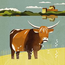Mein Abschlussprojekt für den Kurs: Tierweltillustration für Kinderbücher . Un progetto di Illustrazione vettoriale, Illustrazione digitale e Illustrazione infantile di sozialisma - 27.12.2022