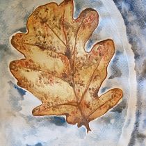 My project for course: Illustrating Nature: A Creative Exploration. Traditional illustration, Painting, Drawing, Watercolor Painting, Ink Illustration, and Naturalistic Illustration project by mesterceruza - 12.27.2022