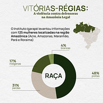 Violência contra defensoras na Amazônia Legal Ein Projekt aus dem Bereich Informationsdesign, Interaktives Design und Infografik von Giulia Santos - 18.07.2022
