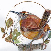 My project for course: Watercolor with Filigree and Metallic Details. Traditional illustration, Painting, Watercolor Painting, Botanical Illustration, Naturalistic Illustration, and Decorative Painting project by Mariyn Weimer - 12.28.2022