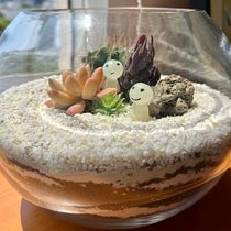Mi proyecto del curso: Arte vegetal: crea tu propio terrario abierto. Interior Design, L, scape Architecture, Decoration, DIY, Floral, and Plant Design project by Ana Otero Talavera - 12.27.2022