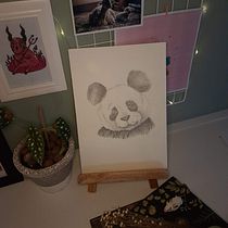 Meu projeto do curso: Desenho naturalista de animais com lápis grafite. Traditional illustration, Pencil Drawing, Drawing, and Naturalistic Illustration project by Gabriela Carretto - 12.29.2022