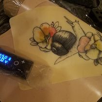 Mon projet du cours : Tatouages naturalistes : du dessin à la peau. Traditional illustration, Drawing, Tattoo Design, Botanical Illustration, and Naturalistic Illustration project by marie billebeau - 12.30.2022