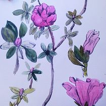 Mi proyecto del curso: Cuaderno botánico en acuarela. Projekt z dziedziny Trad, c, jna ilustracja, Malowanie akwarelą, R, sunek botaniczn i Sketchbook użytkownika Camila Pezoa Fuentes - 31.12.2022