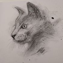 My project for course: Animal Illustration with Charcoal and Ink. Drawing, Naturalistic Illustration & Ink Illustration project by mshore - 01.01.2023