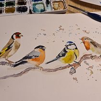 Mein Abschlussprojekt für den Kurs: Illustriere Vögel mit expressiven Aquarelltechniken. Traditional illustration, Watercolor Painting, Realistic Drawing, and Naturalistic Illustration project by Kerstin Haußdörfer - 01.01.2023