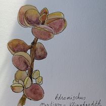 Mon projet du cours : Carnet de croquis botanique : une approche méditative. Un progetto di Illustrazione tradizionale, Bozzetti, Disegno, Pittura ad acquerello, Illustrazione botanica e Sketchbook di Christine Morisseau - 01.01.2023
