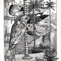 Mi proyecto del curso: Ilustración con tinta y plumilla: captura el mundo natural. Sketching, Drawing, Artistic Drawing, Sketchbook, Ink Illustration, and Naturalistic Illustration project by Manuela Cruz - 12.30.2022