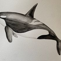 Mi proyecto del curso: Técnicas de ilustración naturalista: ballenas en acuarela. Un progetto di Illustrazione tradizionale, Design di poster , Illustrazione digitale e Manga di Tatiana Martínez - 02.01.2023