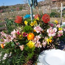 Mi proyecto del curso: Diseño y creación de composiciones florales. Un progetto di Eventi di Thania Lucero - 19.03.2021