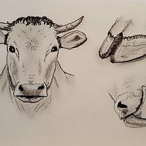 Mein Abschlussprojekt für den Kurs: Tägliches Sketching für kreative Inspiration. Traditional illustration, Sketching, Creativit, Drawing, and Sketchbook project by laraoleart - 01.02.2023