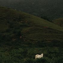 Meu projeto do curso: Fotografia de paisagem e natureza. Photograph, Outdoor Photograph, Instagram Photograph, Documentar, Photograph, and Photographic Composition project by Kamilla Libório - 01.02.2023
