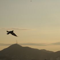 Lo que vemos dia a dia. Un proyecto de Fotografía y Fotografía digital de José Luis Osorio Jiménez - 01.01.2023