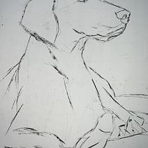 My project for course: Animal Illustration with Charcoal and Ink. Drawing, Ink Illustration, Naturalistic Illustration, and Fine Arts project by Judith Sutherland - 01.03.2023