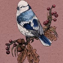 Mein Abschlussprojekt für den Kurs: Kugelschreiberzeichnungen: Naturalistische Illustration. Traditional illustration, Drawing, Realistic Drawing, and Naturalistic Illustration project by Tina Schlesinger - 01.03.2023