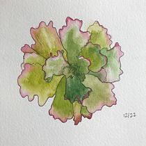 My project for course: Botanical Sketchbooking: A Meditative Approach. Un progetto di Illustrazione tradizionale, Bozzetti, Disegno, Pittura ad acquerello, Illustrazione botanica e Sketchbook di dchangshutterfly - 04.01.2023