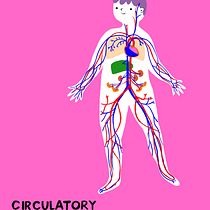 My project for course: Informative Illustration: Awakening Curiosity Ein Projekt aus dem Bereich Traditionelle Illustration, Grafikdesign, Infografik, Digitale Illustration und Editorial Illustration von fannysantinistudio - 04.01.2023