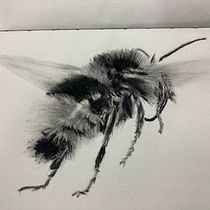 Mi proyecto del curso: Ilustración naturalista con acuarela y carboncillo. Traditional illustration, Painting, and Naturalistic Illustration project by Mónica Pereira - 01.04.2023