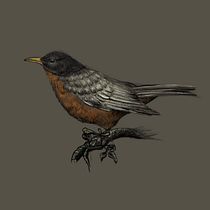 My project for course: Natural Illustration with Digital Painting. Traditional illustration, Drawing, Digital Illustration, Realistic Drawing, Digital Painting, and Naturalistic Illustration project by Laura Freire - 01.06.2023