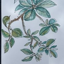 My project for course: Botanical Sketchbooking: A Meditative Approach. Un progetto di Illustrazione tradizionale, Bozzetti, Disegno, Pittura ad acquerello, Illustrazione botanica e Sketchbook di Jeannine Dickie - 06.01.2023