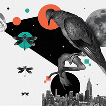 Martes, miércoles: Alejandra Puente. Design gráfico, Colagem, Ilustração digital e Ilustração editorial projeto de Alejandra García Puente - 04.01.2023