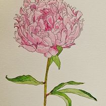 Mi proyecto del curso: Sketchbook botánico: una aproximación meditativa. Un progetto di Illustrazione tradizionale, Bozzetti, Disegno, Pittura ad acquerello, Illustrazione botanica e Sketchbook di Ana Camacho - 07.01.2023