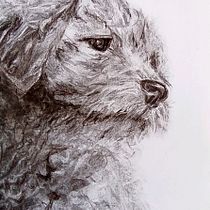 My project for course: Animal Illustration with Charcoal and Ink. Desenho, Ilustração com tinta e Ilustração naturalista projeto de lionsaidh.smith - 08.01.2023