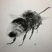 My project for course: Illustrating the Natural World with Watercolor and Charcoal Ein Projekt aus dem Bereich Traditionelle Illustration, Malerei und Naturalistische Illustration von monica.jarnkvist - 08.01.2023