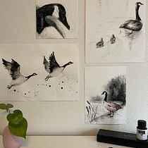 My project for course: Animal Illustration with Charcoal and Ink Ein Projekt aus dem Bereich Zeichnung, Illustration mit Tinte und Naturalistische Illustration von Mara Ionescu - 08.01.2023